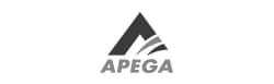 Apega